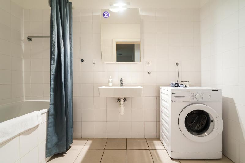 Deluxe One-Bedroom Apartment with Balcony  image 1