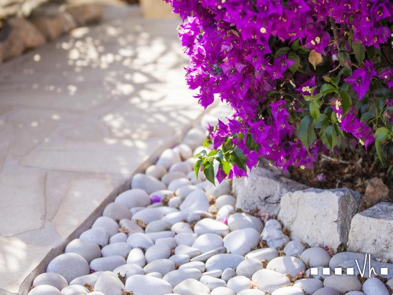 VH CostaBlanca - POLEN - image 45