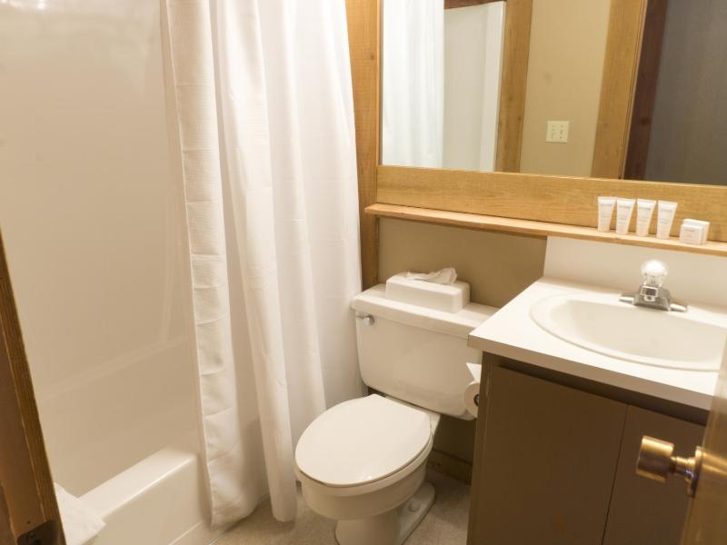 Walk to the Village - Spacious Northstar Condo - image 21