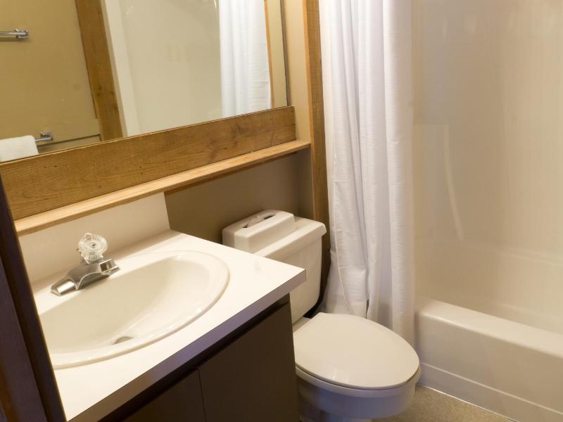 Walk to the Village - Spacious Northstar Condo - image 5