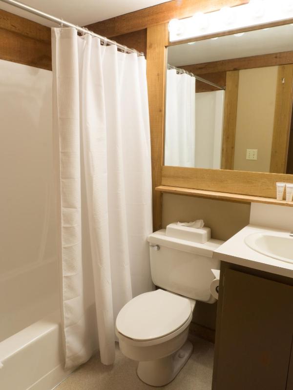 Walk to the Village - Spacious Northstar Condo - image 25