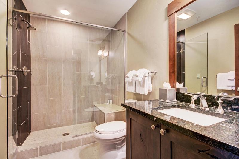 One Ski Hill Place S8414 - image 10