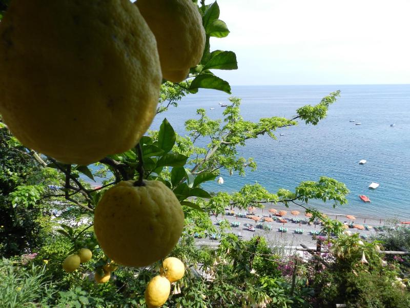 La Dolce Vita a Positano boutique hotel - image 31