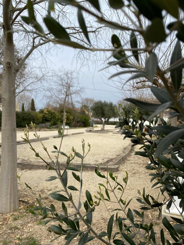 Camping L' Arlesienne - image 15