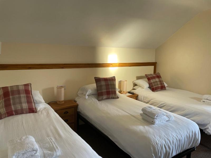Comfort Triple Room with Shower image 4