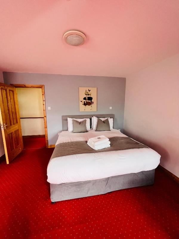 Deluxe King Room image 1