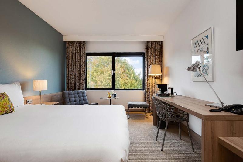 Superior Room image 1