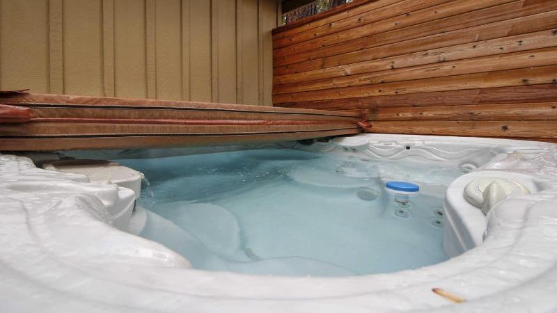 Mt. Hood 06 - image 13