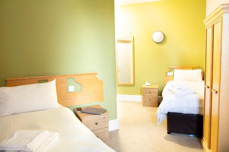 Standard Twin Room image 3
