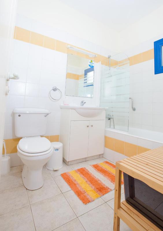 One-Bedroom Apartment image 4