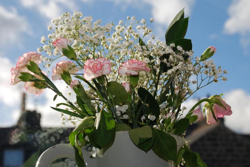 Springdale Guest House - image 33
