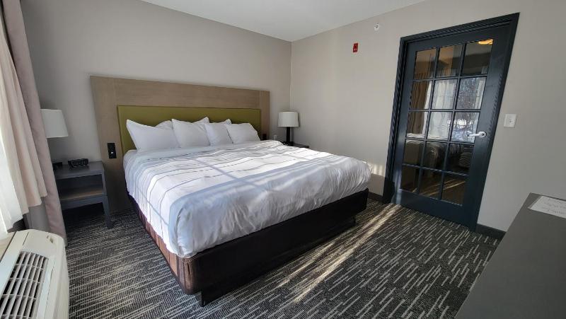 One-Bedroom King Suite - Non-Smoking image 2