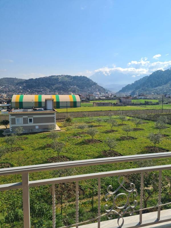 Guest House Ilir - image 16