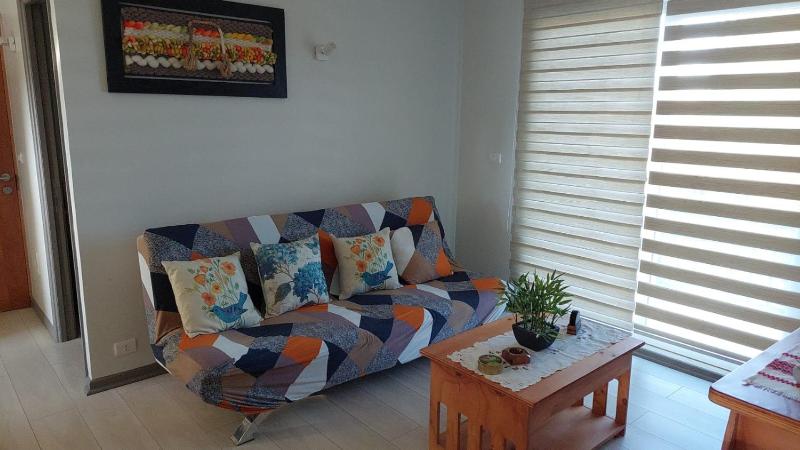 Hermoso departamento nuevo en Pucon equipado con 3 dormitorios wifi y estacionamiento privado a 5 minutos del centro y lago - image 17