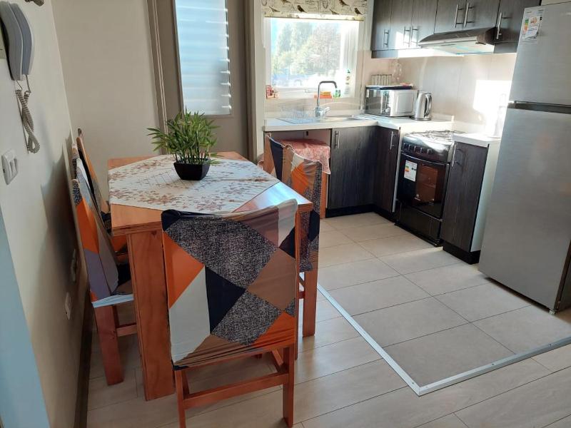 Hermoso departamento nuevo en Pucon equipado con 3 dormitorios wifi y estacionamiento privado a 5 minutos del centro y lago - image 22