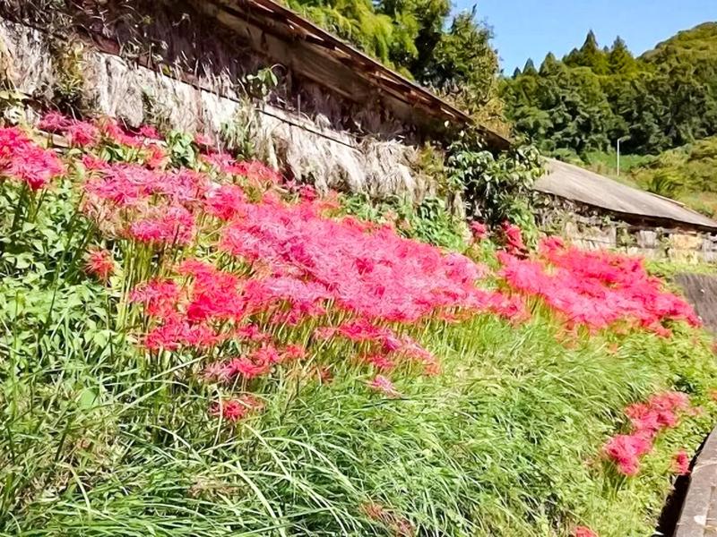 Nara Guesthouse 3F - image 10