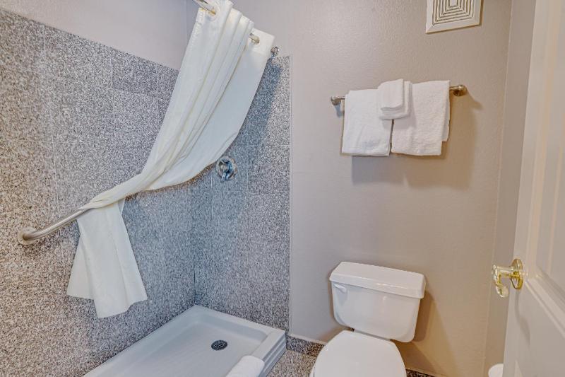 The Ashley Inn & Suites - image 17