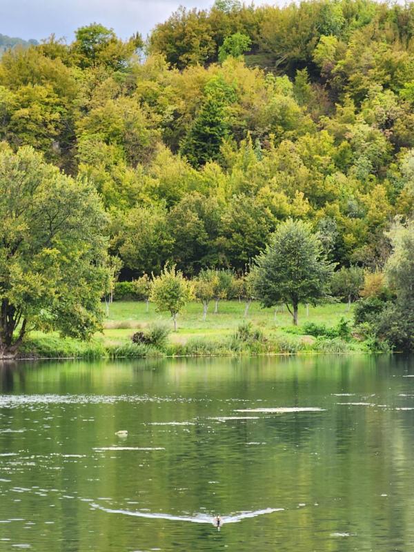 River Homes Bihac - image 15