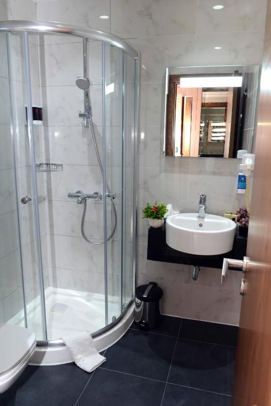 Standard Double or Twin Room image 3