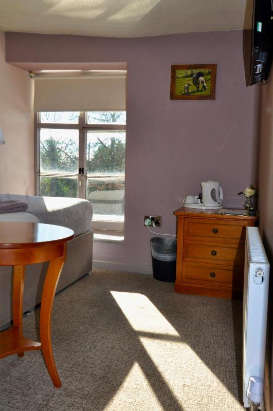 Single Room image 1