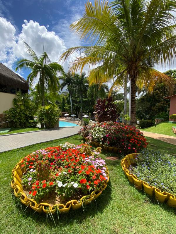 Hot spring hotel caldas novas - image 2