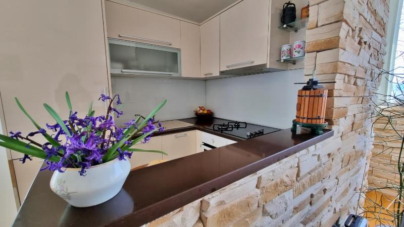 Apartment Tica - image 24