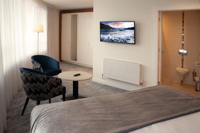Deluxe King Room image 3