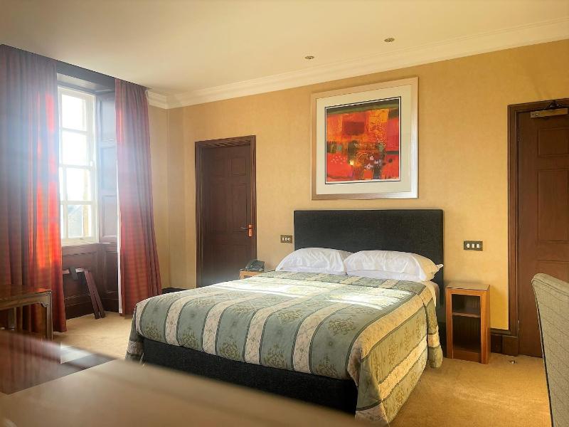 Deluxe King Room image 1