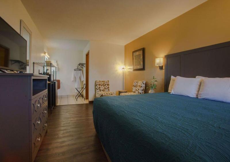 Deluxe King Room image 1
