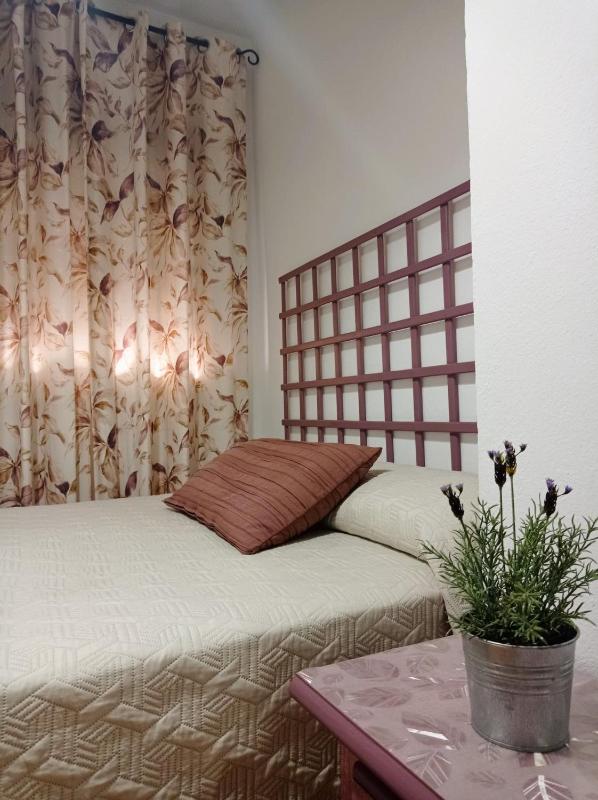 Hostal Buena Vista - image 16