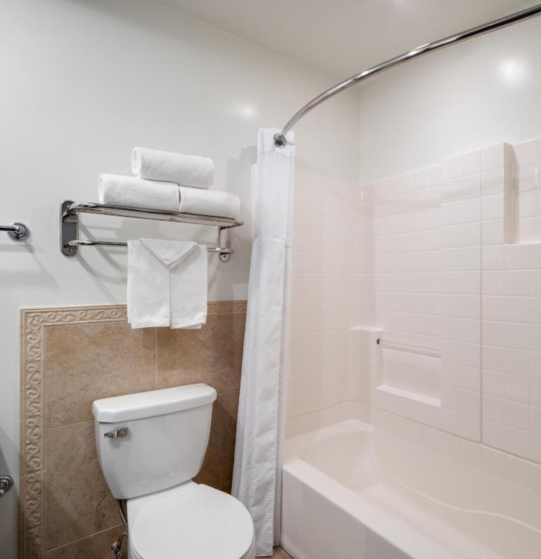 One-Bedroom King Suite image 4
