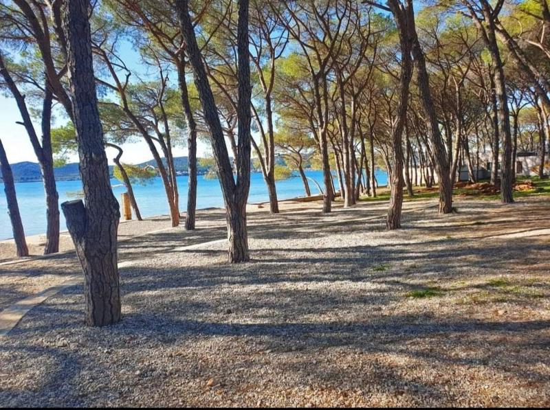 Apartment Mia - image 5