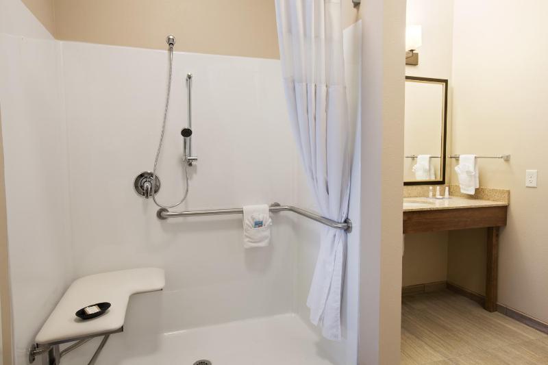 King Studio Suite - Mobility Access/Non-Smoking image 1
