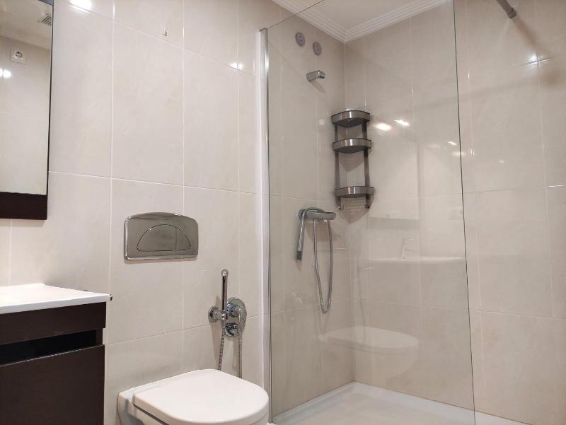 One-Bedroom Apartment image 4