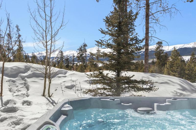 Modern Alpine Escape - image 13