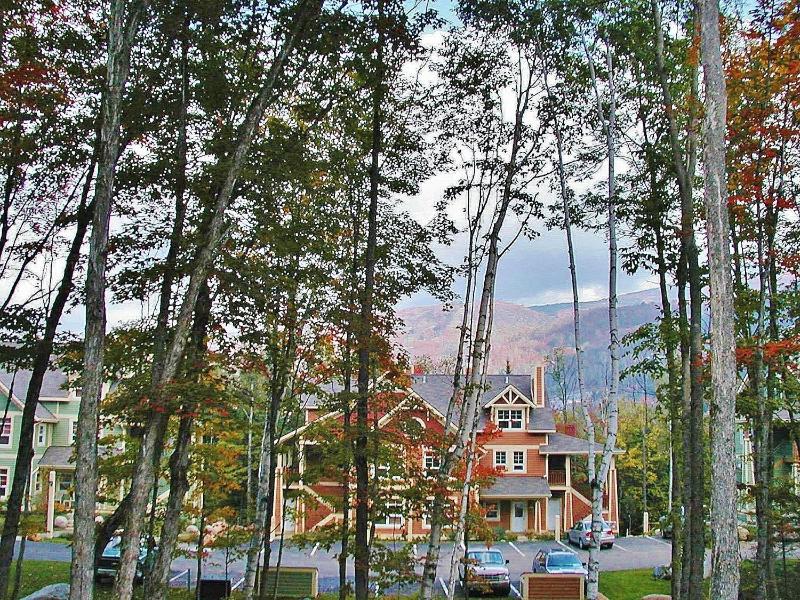 Tremblant Les Eaux by Rendez-Vous Mont-Tremblant - image 46