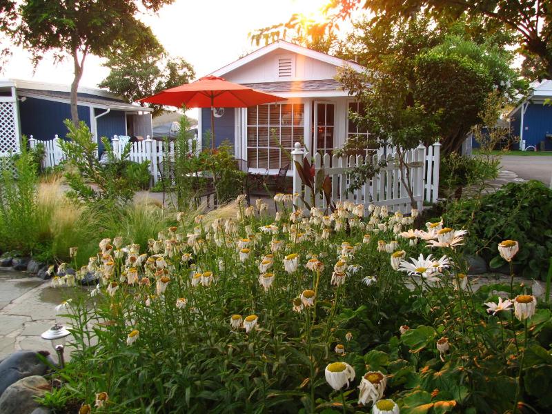 One-Bedroom Cottage with Lake View #9  image 1