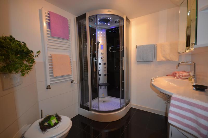 Deluxe One-Bedroom Apartment with Balcony  image 3