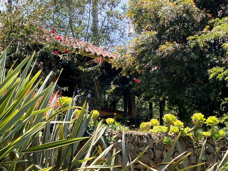 PASSADHI Ayurveda & Yoga Retreat - image 27