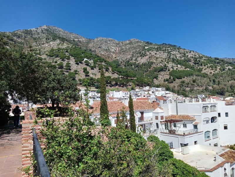OPUNTIA Hotel Boutique - image 14