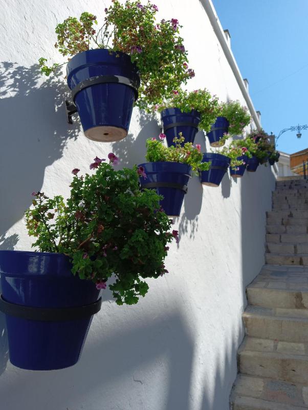 OPUNTIA Hotel Boutique - image 9