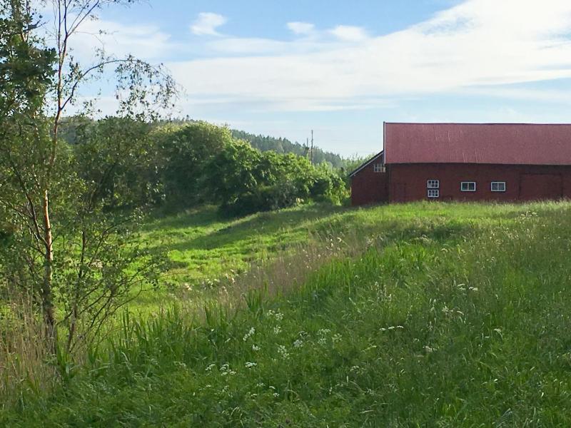 Holiday Home image 3
