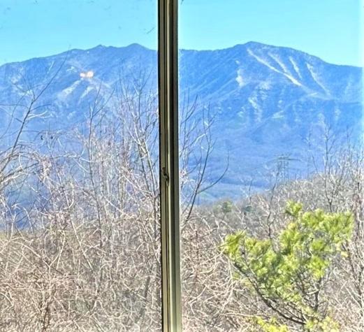 Our Place in the Smokies - image 16