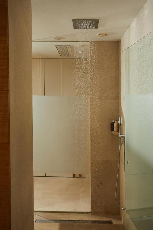 Suite with Bathtub image 4