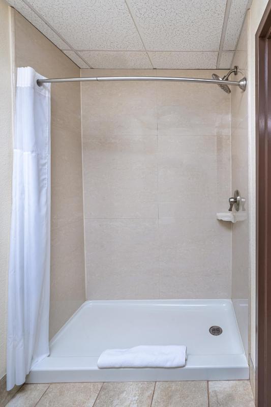 Queen Suite image 2
