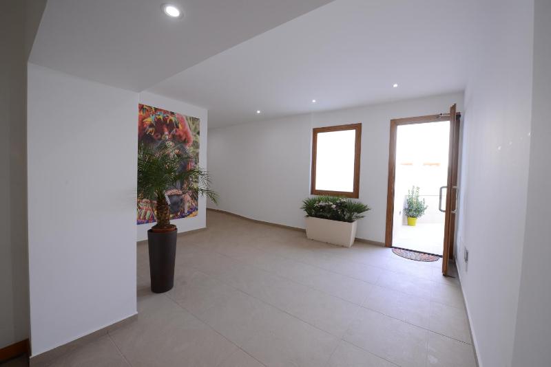 Deluxe Apartment image 4