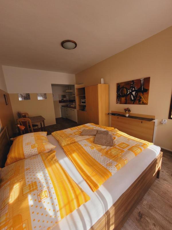 Standard Apartment image 3