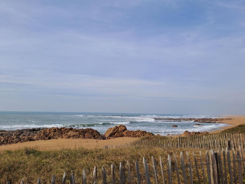MARION I 8 couchages I Plage foret & marais a pied - image 13