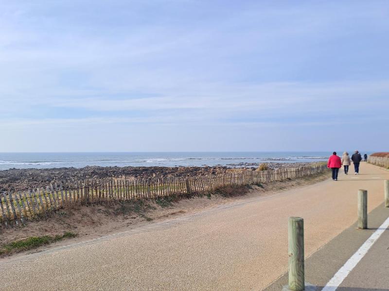 MARION I 8 couchages I Plage foret & marais a pied - image 26