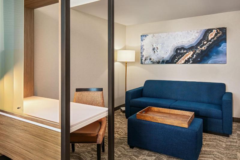 Junior King Suite with Sofa Bed image 4